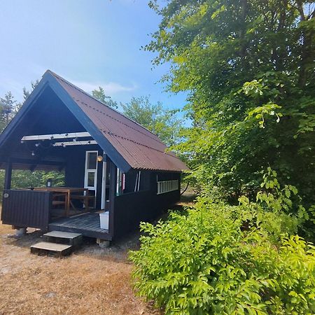 Tranum Klit Camping Og Hytteudlejning Brovst Eksteriør bilde
